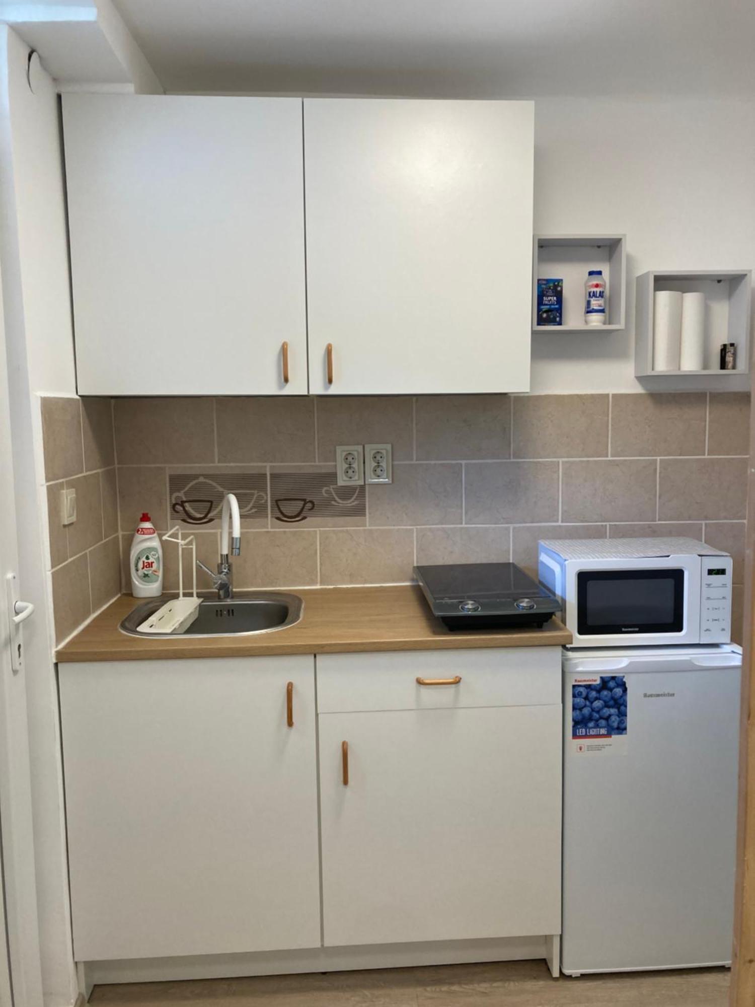 Kucko A Parton Apartment Fonyod